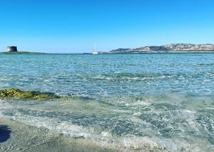 Дом отдыха In Near Pelosa *