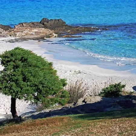 With Garden A Stone's Throw From The Sea *