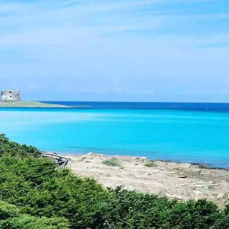 With Garden A Stone's Throw From The Sea * Stintino